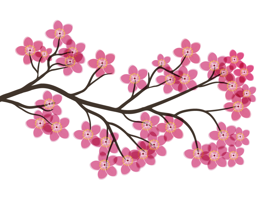 Illustration arbre japonais rose