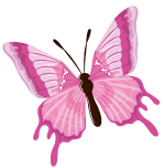 Illustration papillon